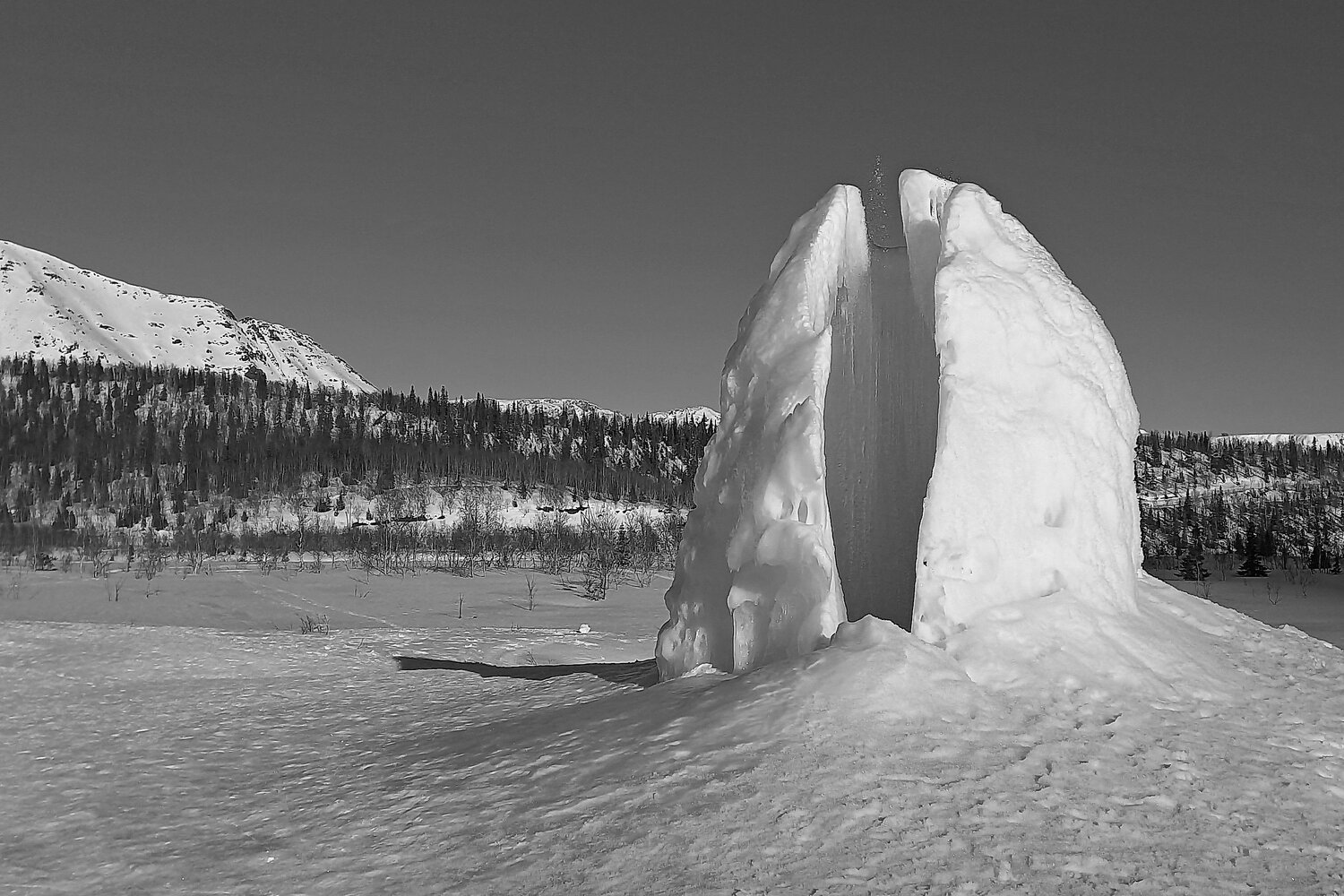Photo #14139468