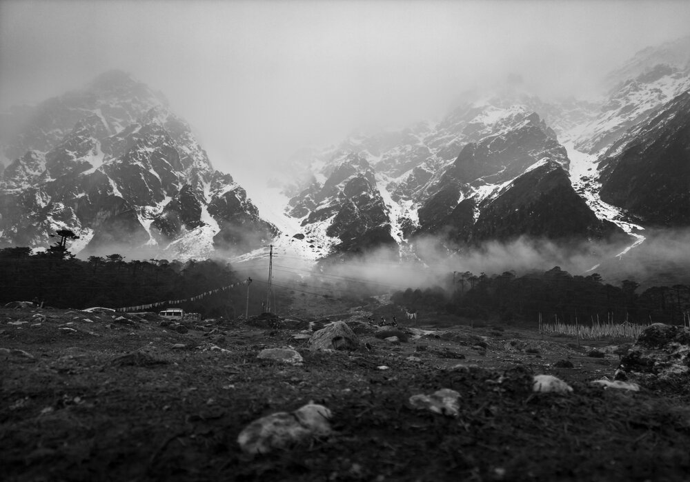 The Silent Giants