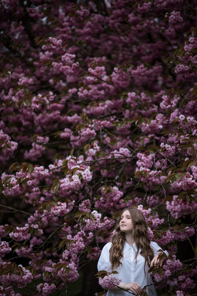 Photograph by Sandra Tines