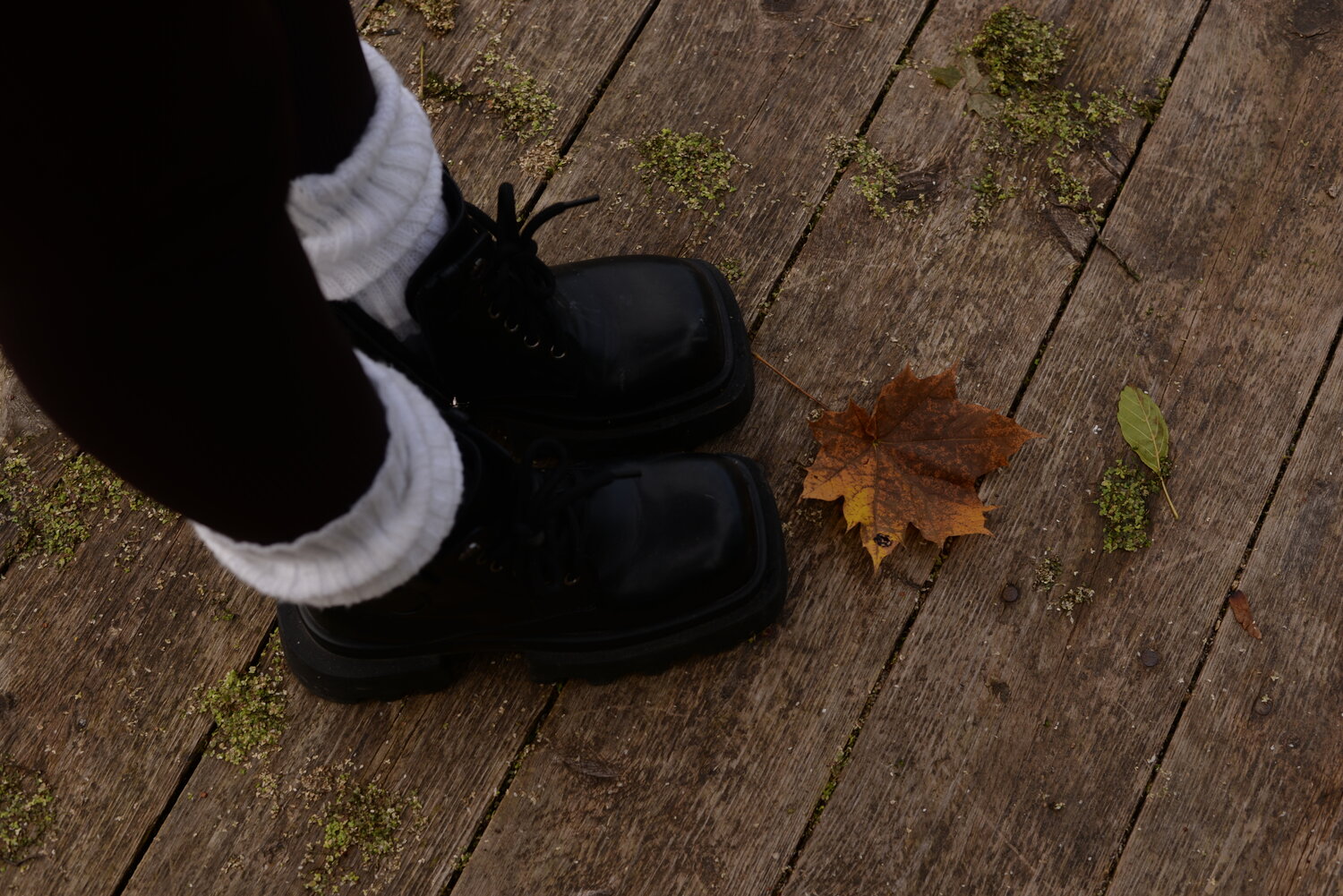 Photo #14139663