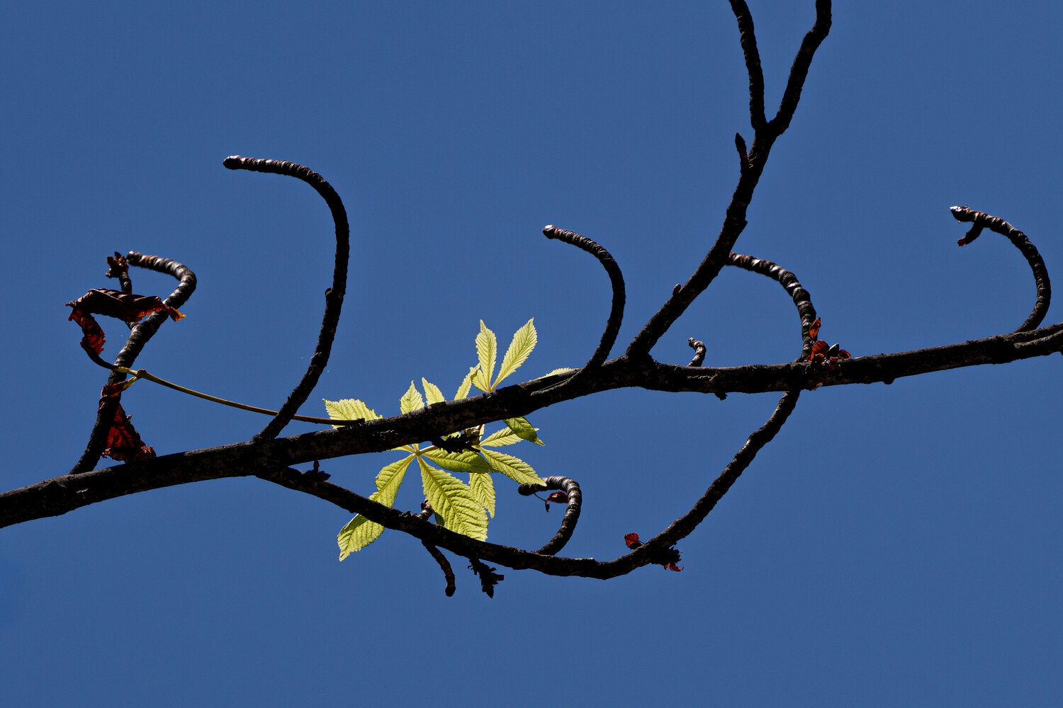 Photo #14139696