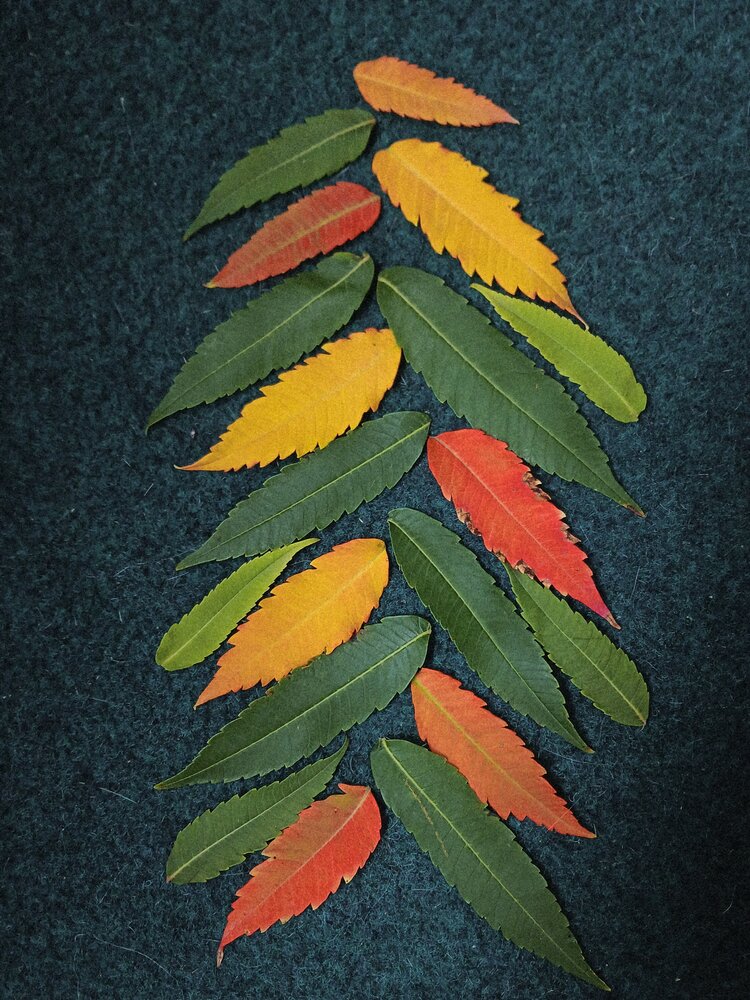 Photograph by Елена Разина