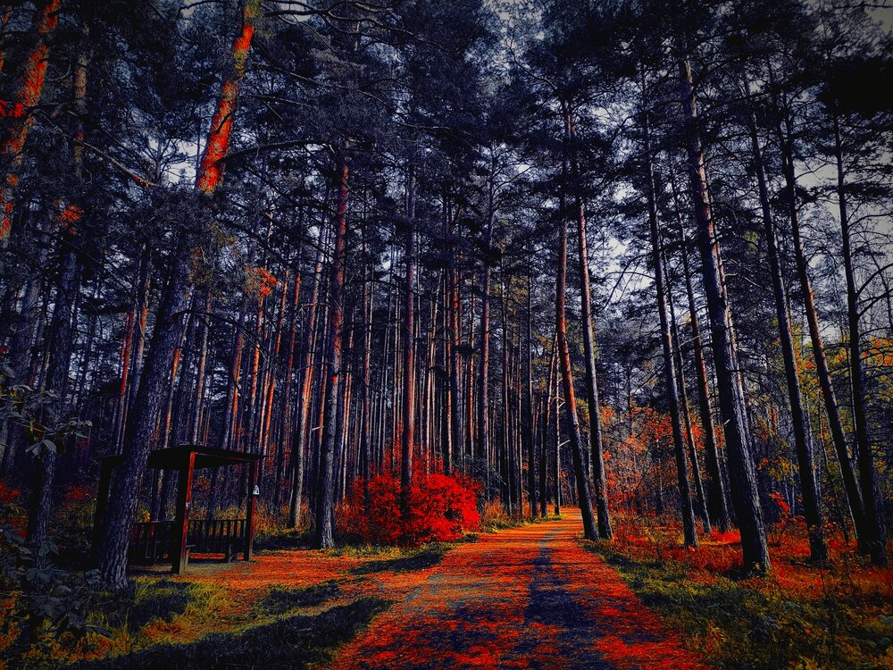 Фотография автора Екатерина Козлова