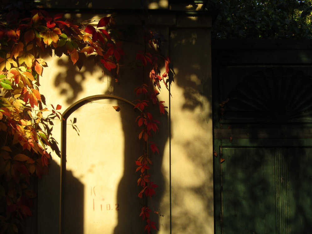 Photograph by ЕЛЕНА Тутынина