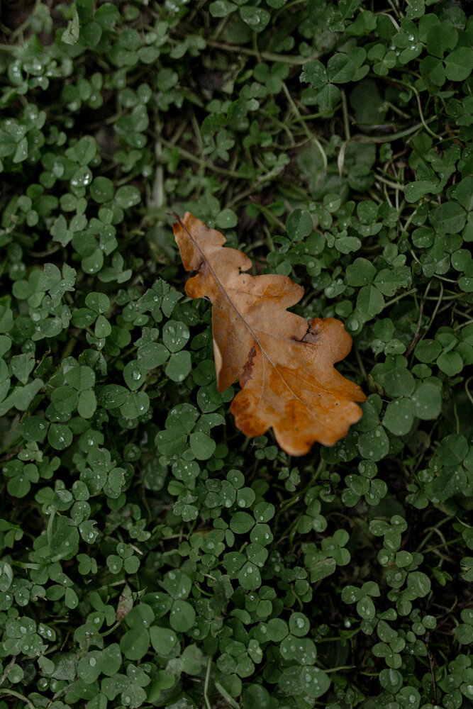 Photograph by Марина Подольская