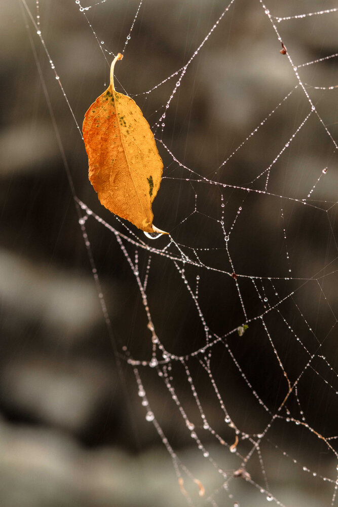 Photograph by Светлана Кавказская