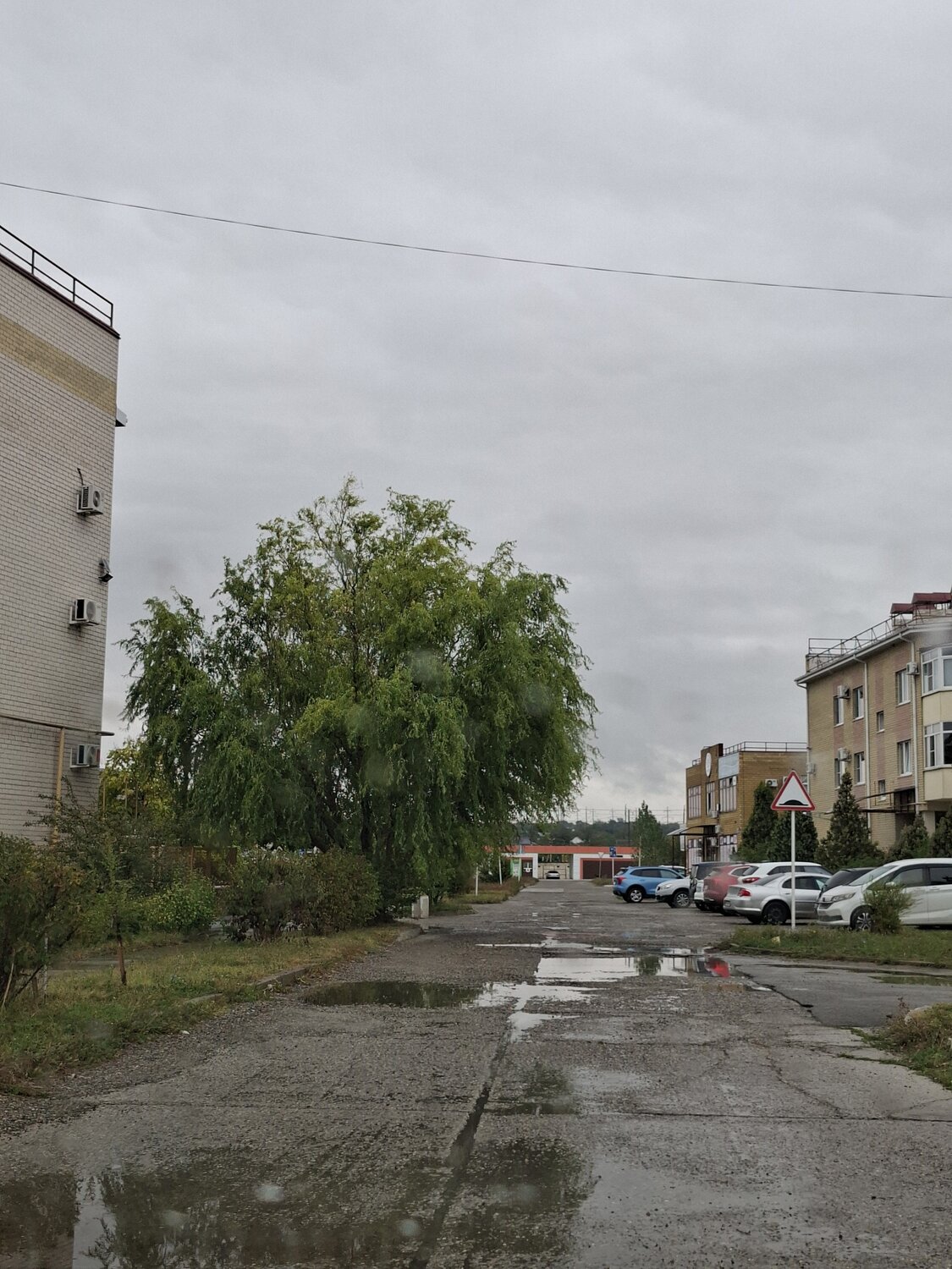 Photo #14140022