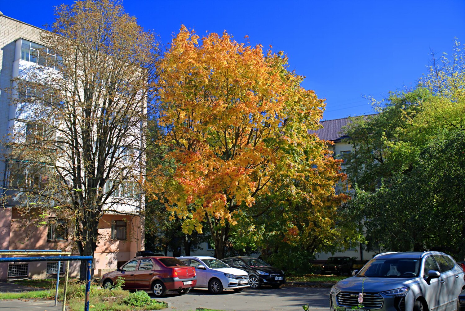 Photo #14140059