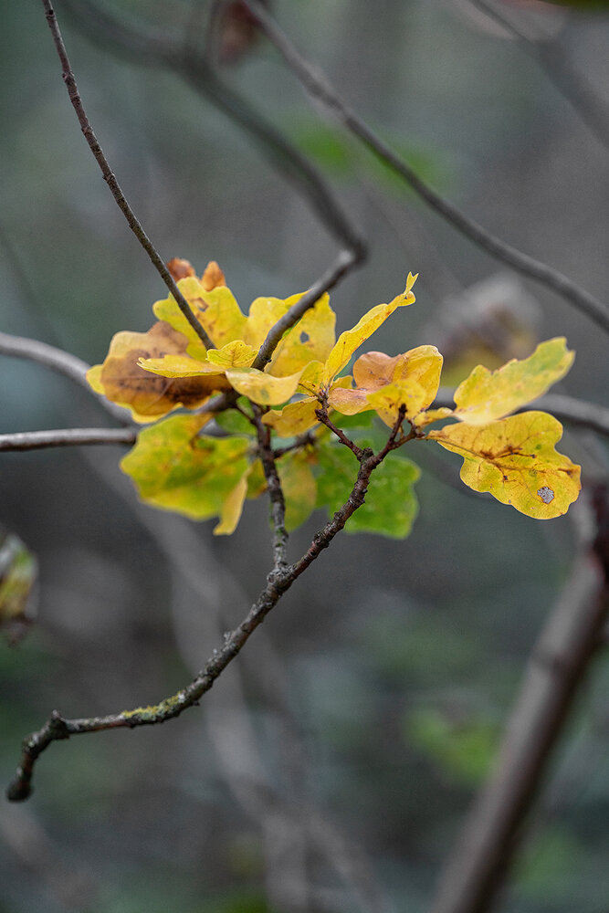 Photograph by Oxana Berezovskaya