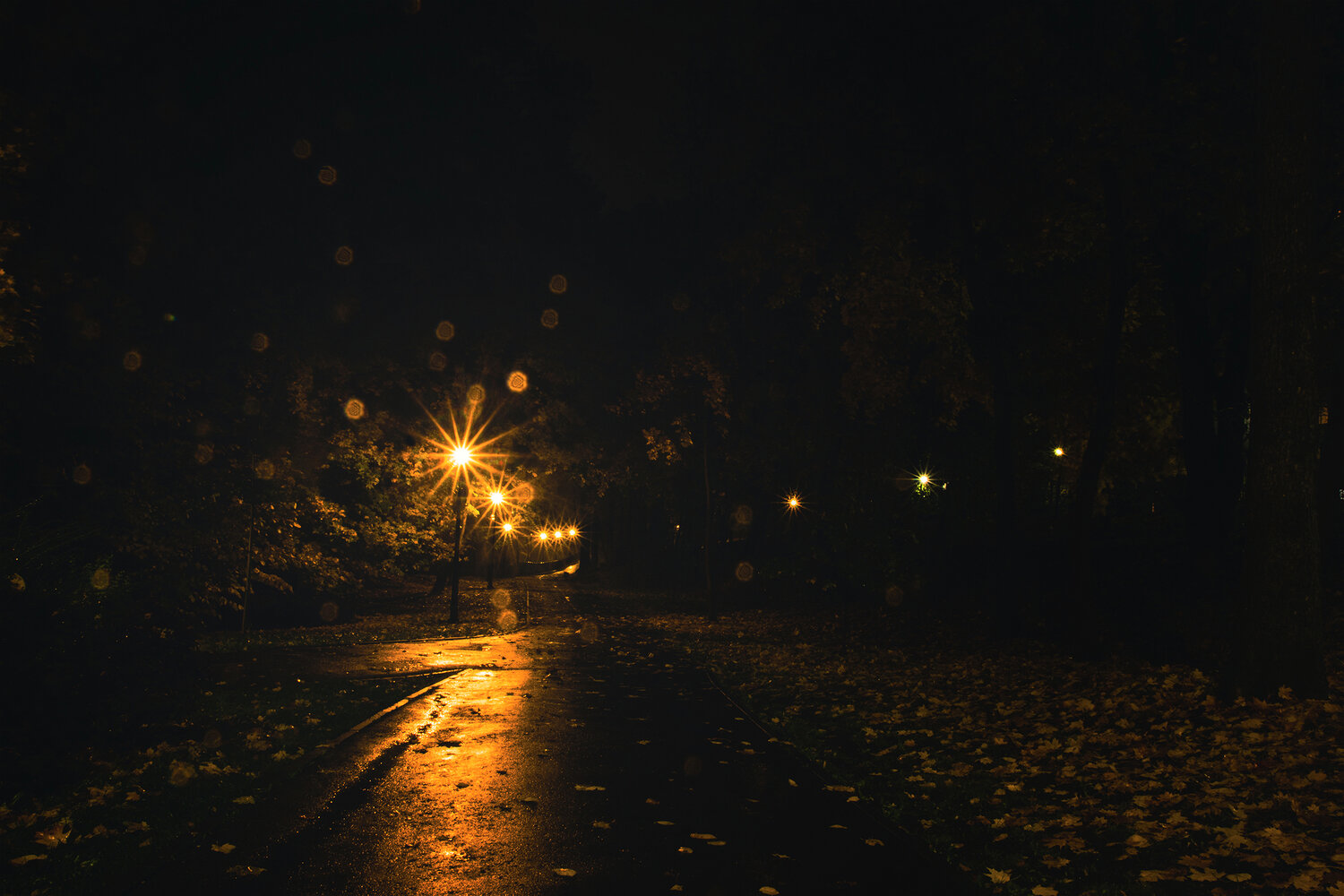 Photo #14140109
