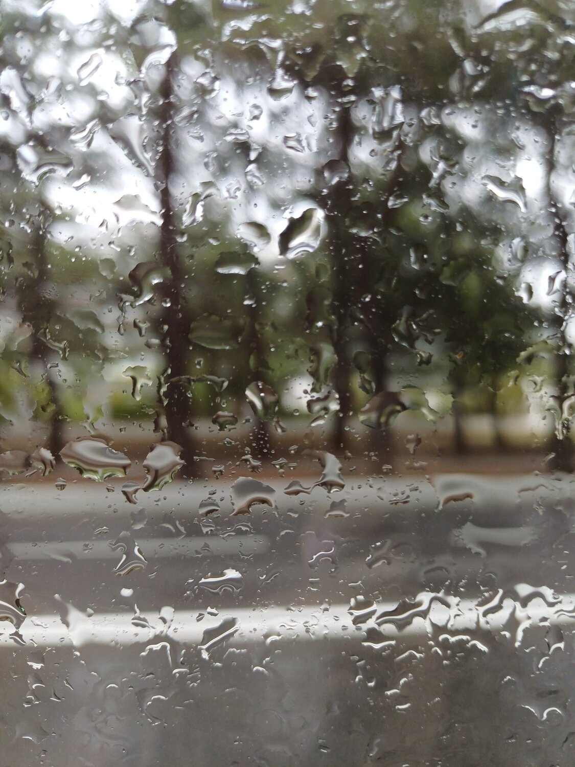 Photo #14140113