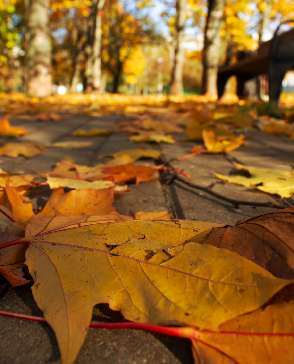 Photo #14140118