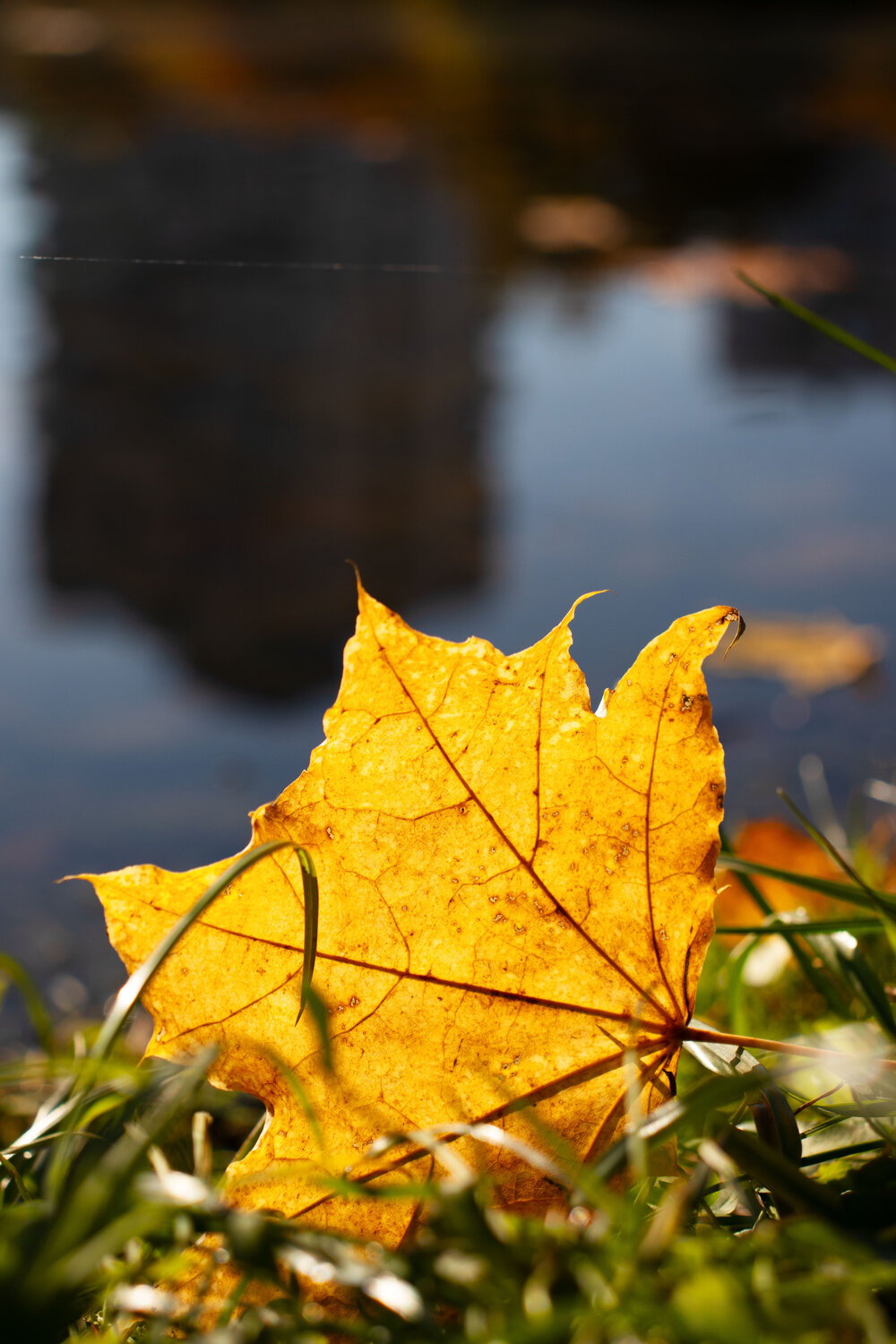 Photo #14140123