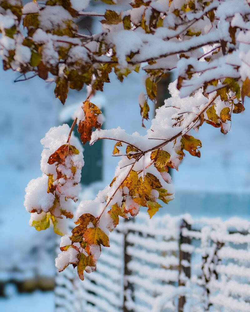 Photograph by Россоловская Евгения