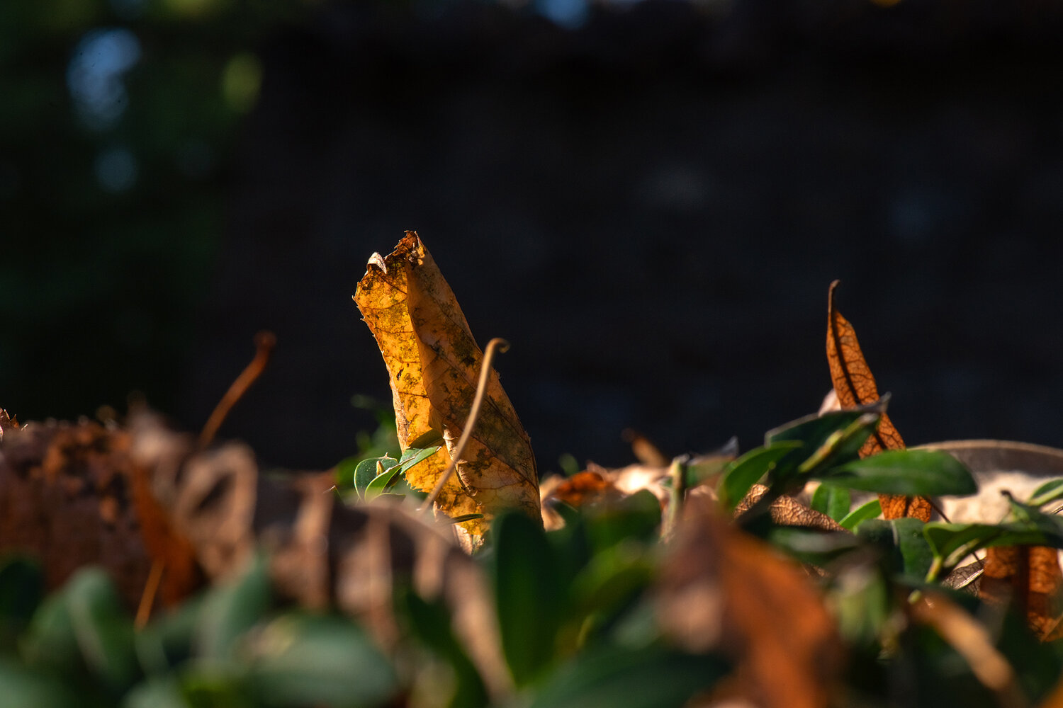Photo #14140219