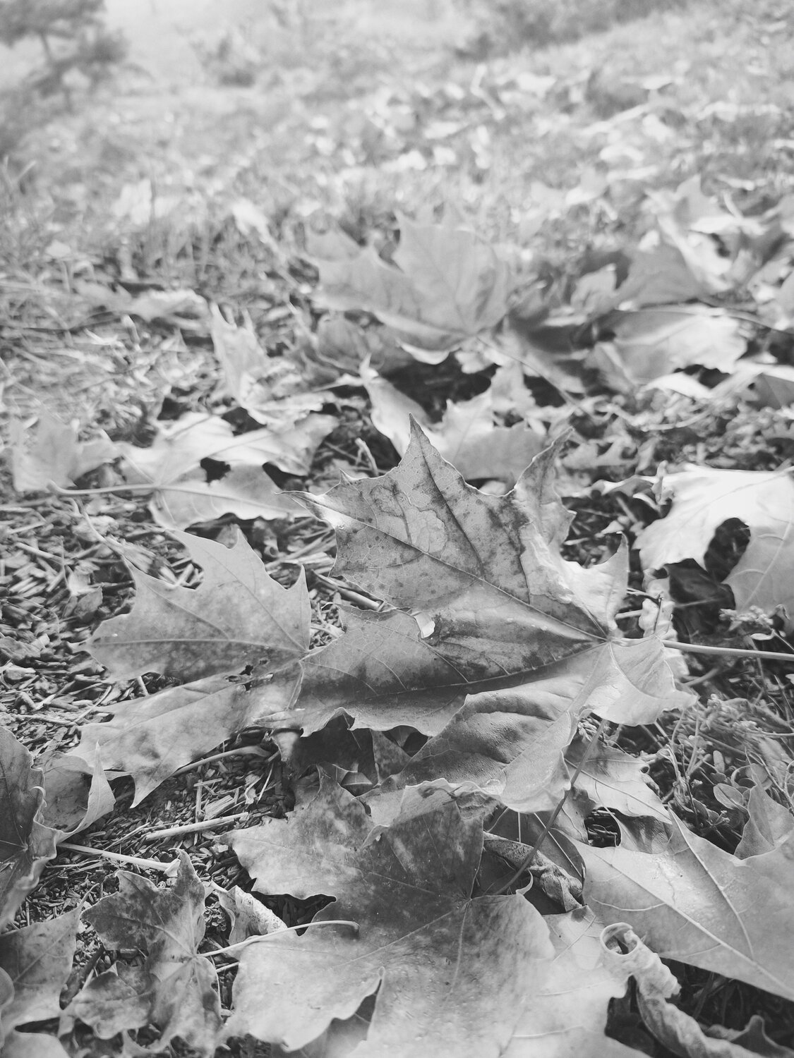 Photo #14140226