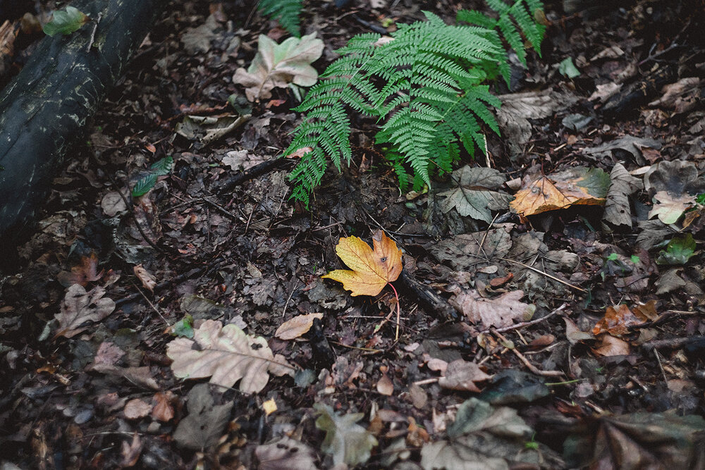 Photograph by Oxana Berezovskaya