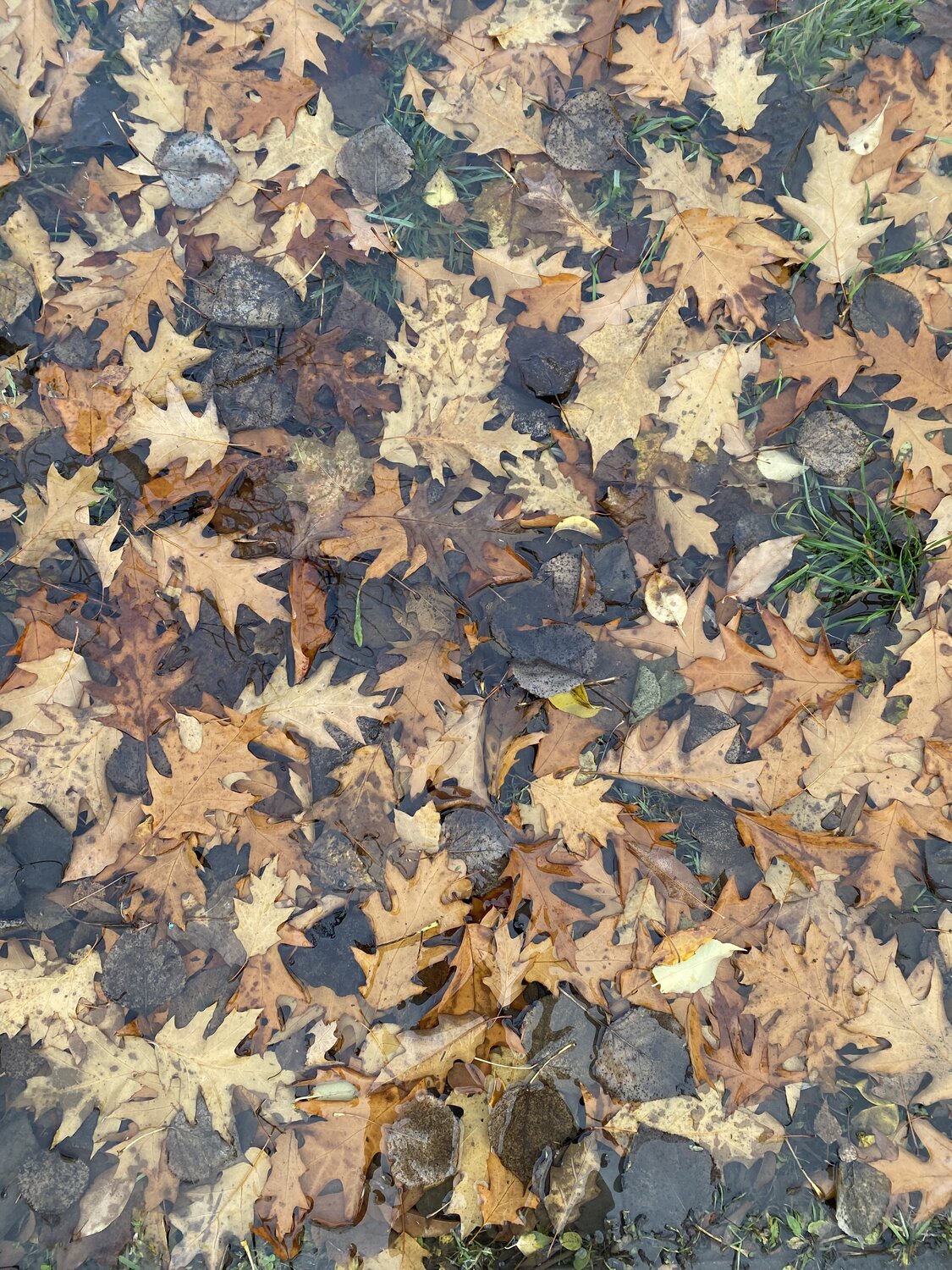 Photo #14140256