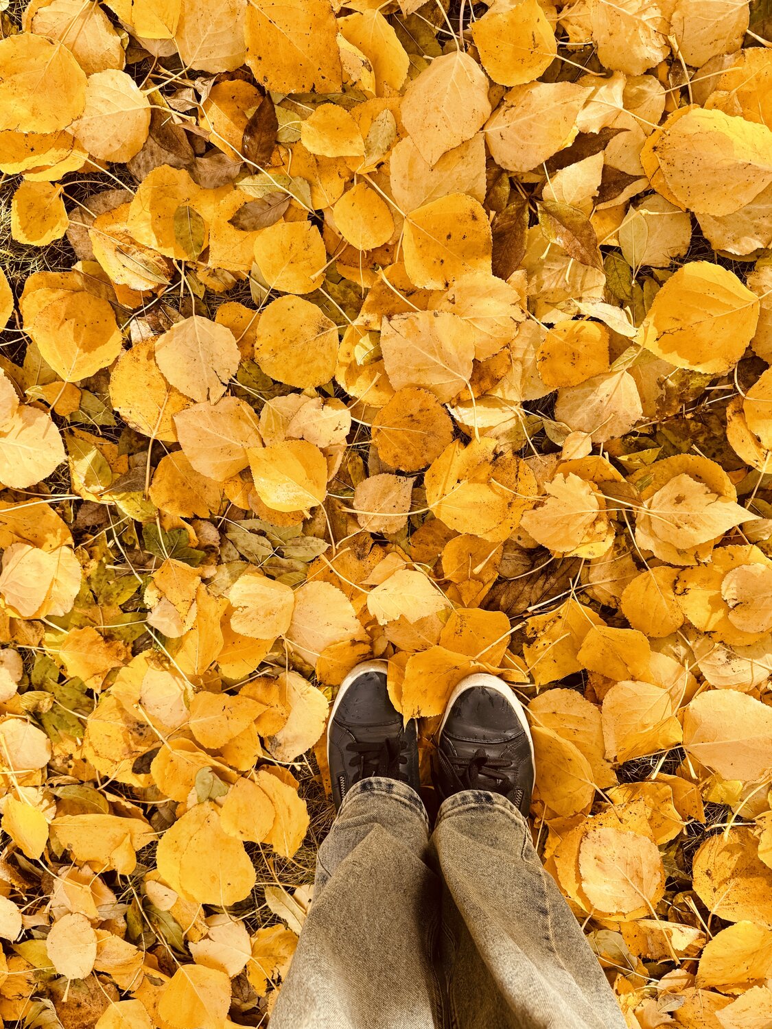 Photo #14140257