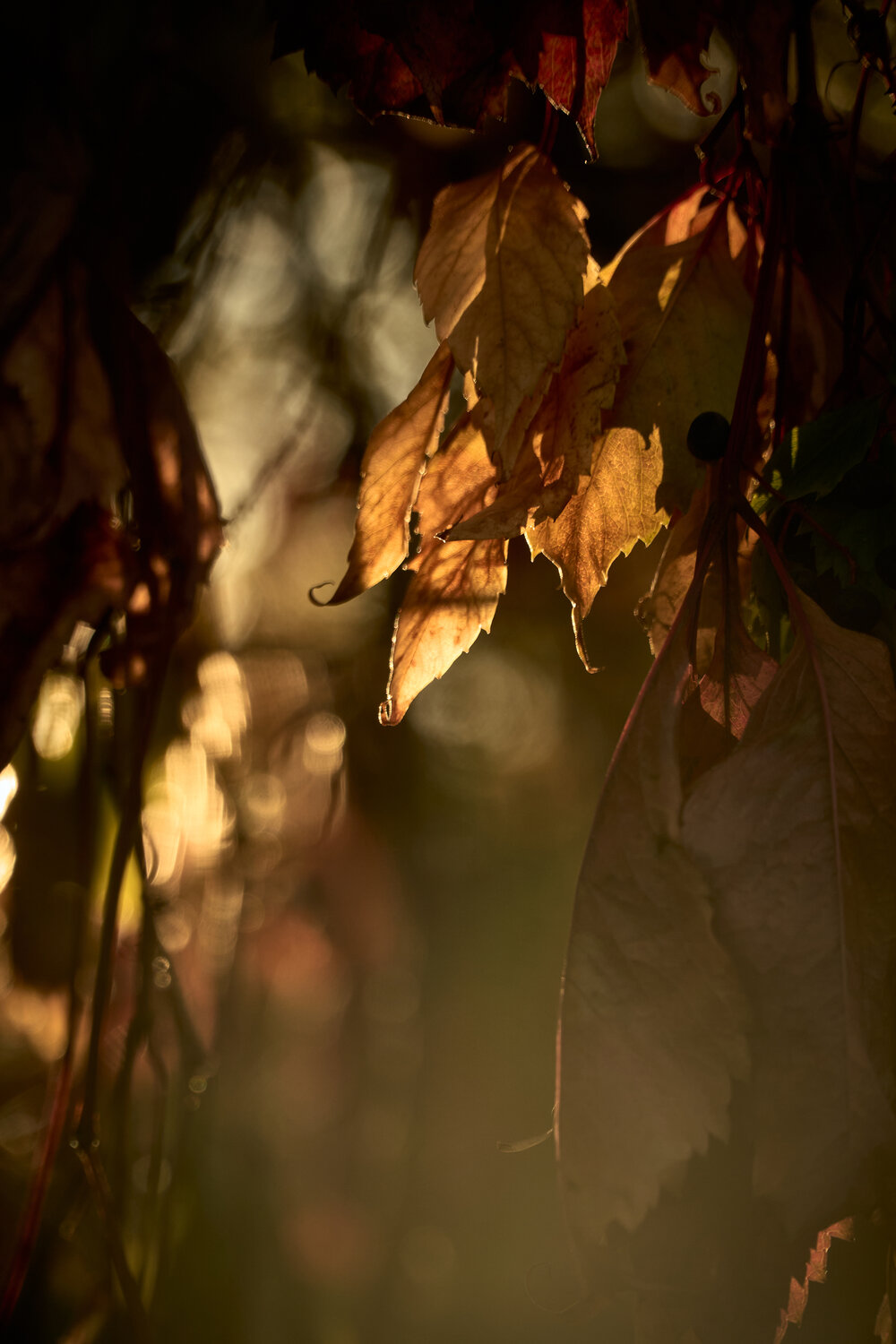 Photo #14140280