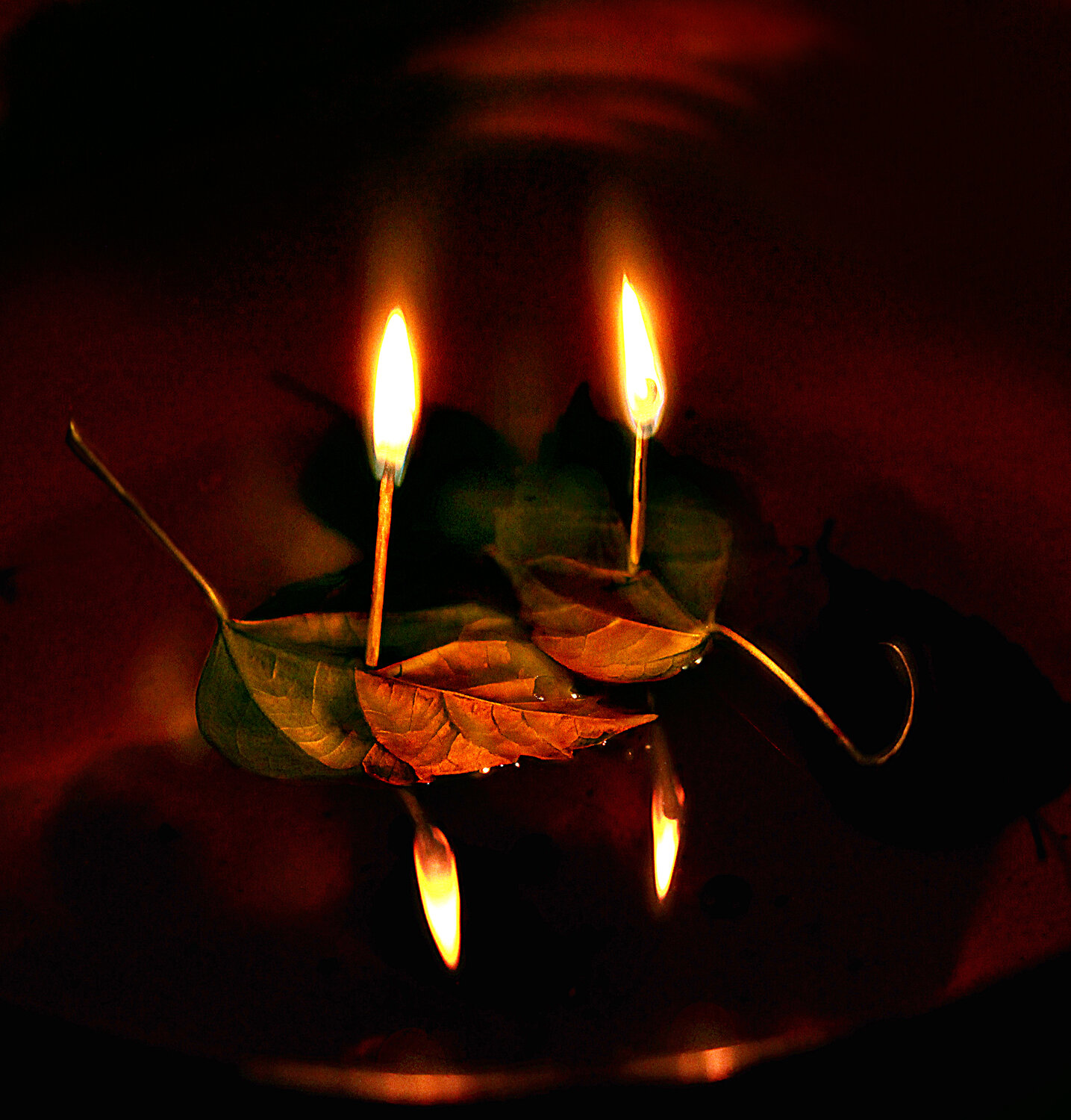 Photo #14140307