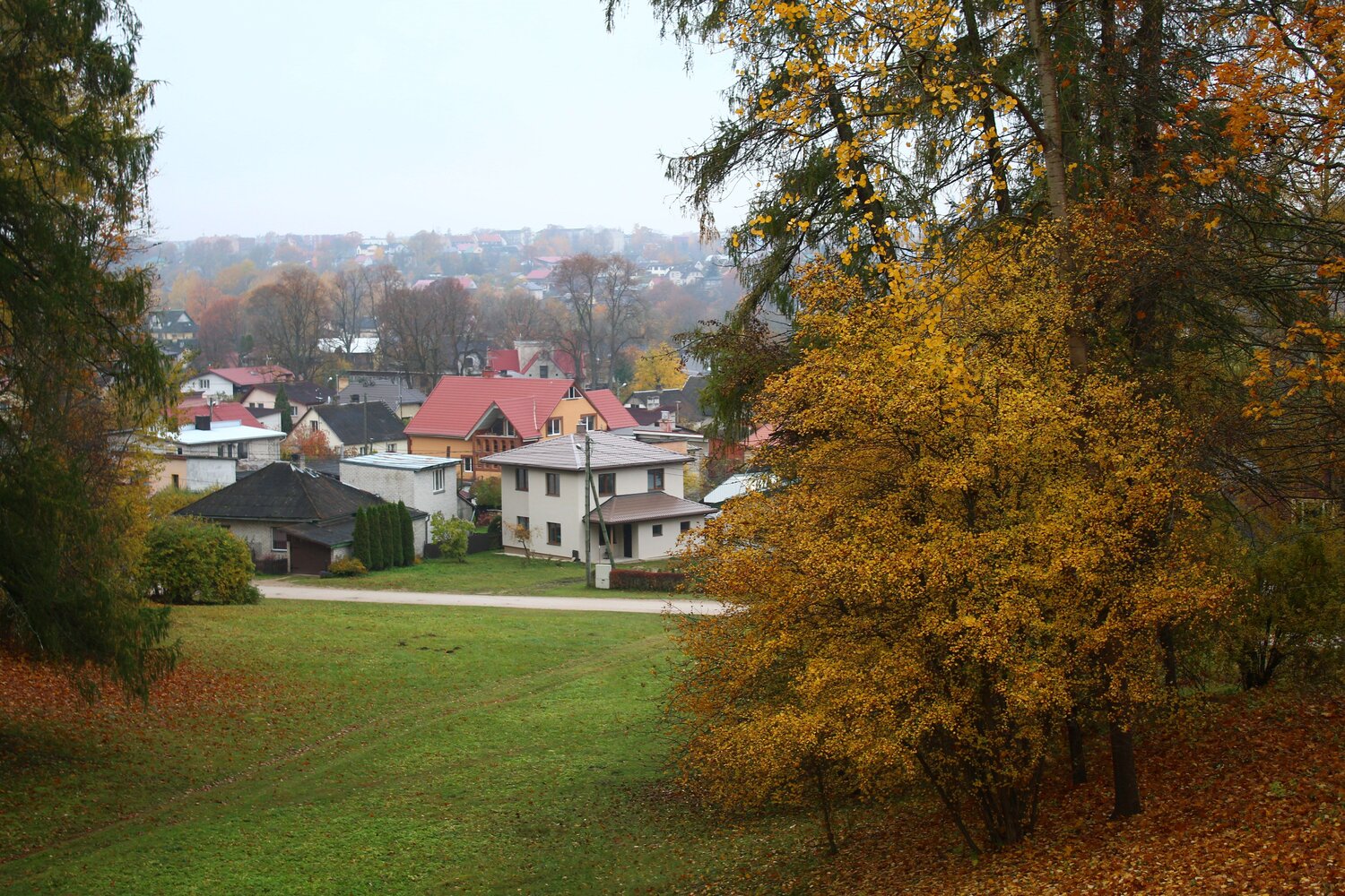 Photo #14140364