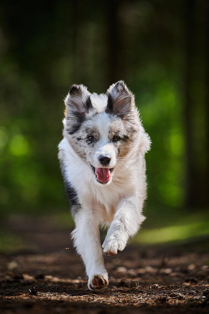 Run with fun
