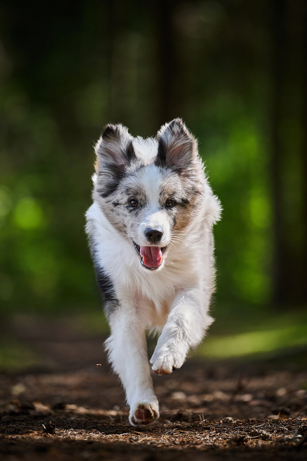 Run with fun