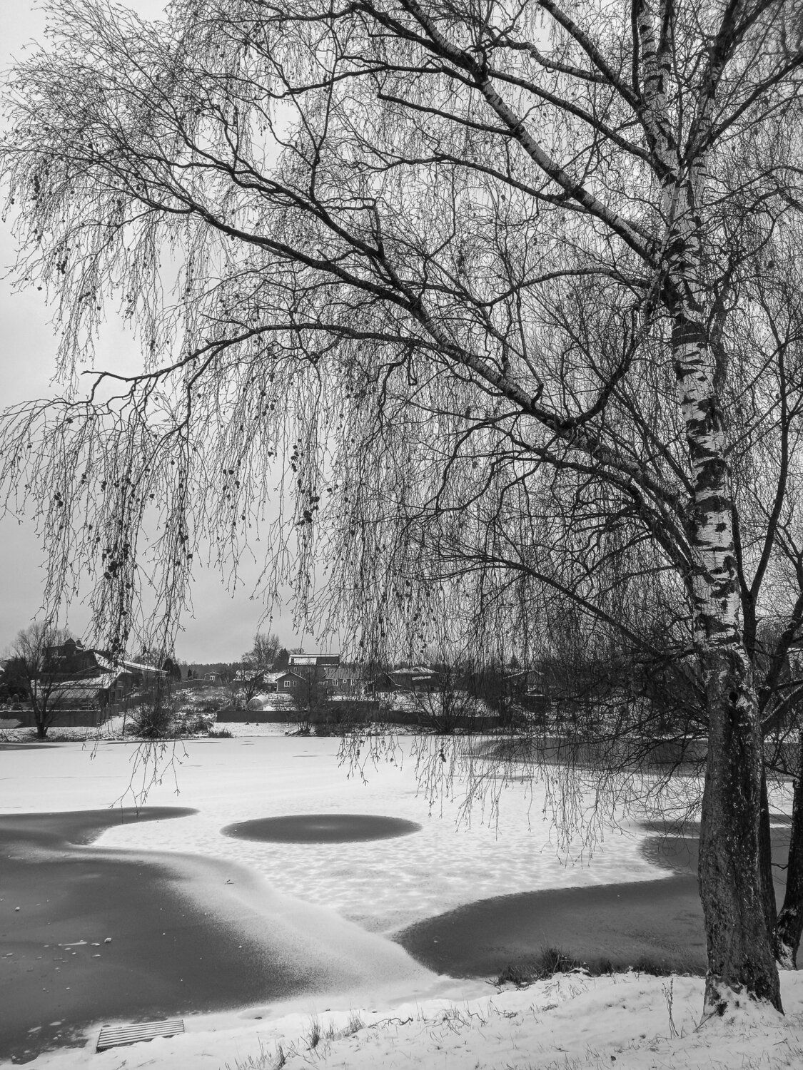 Photo #14140426