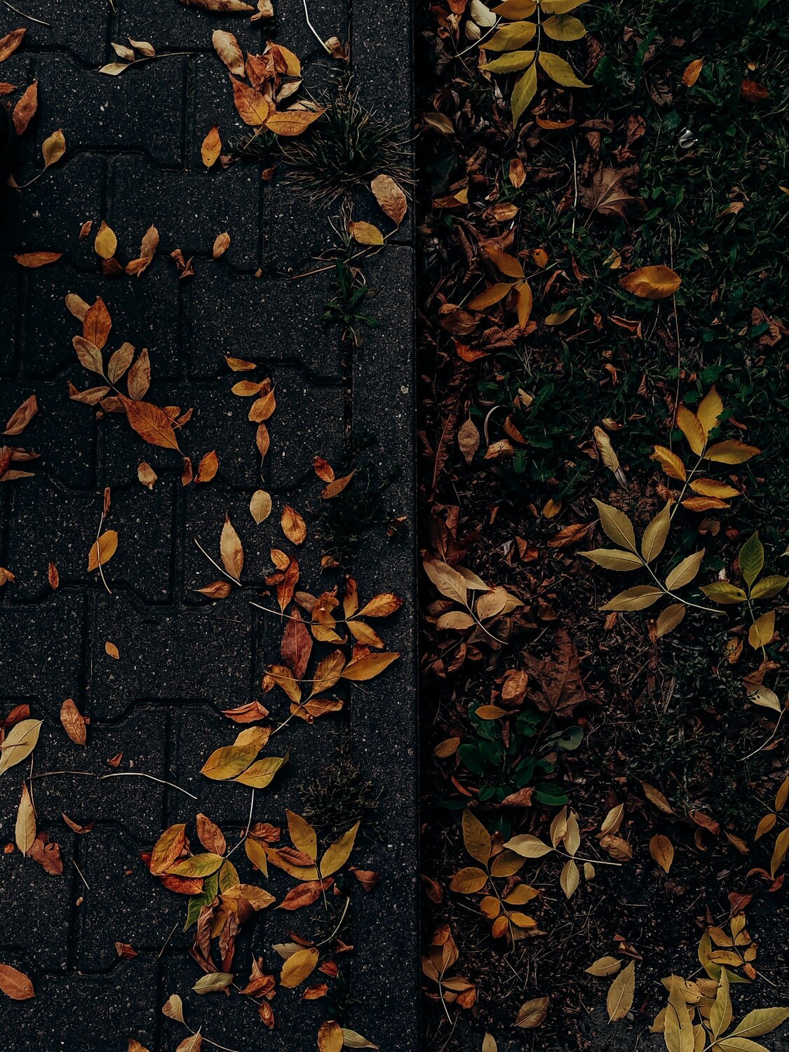 Photo #14140430