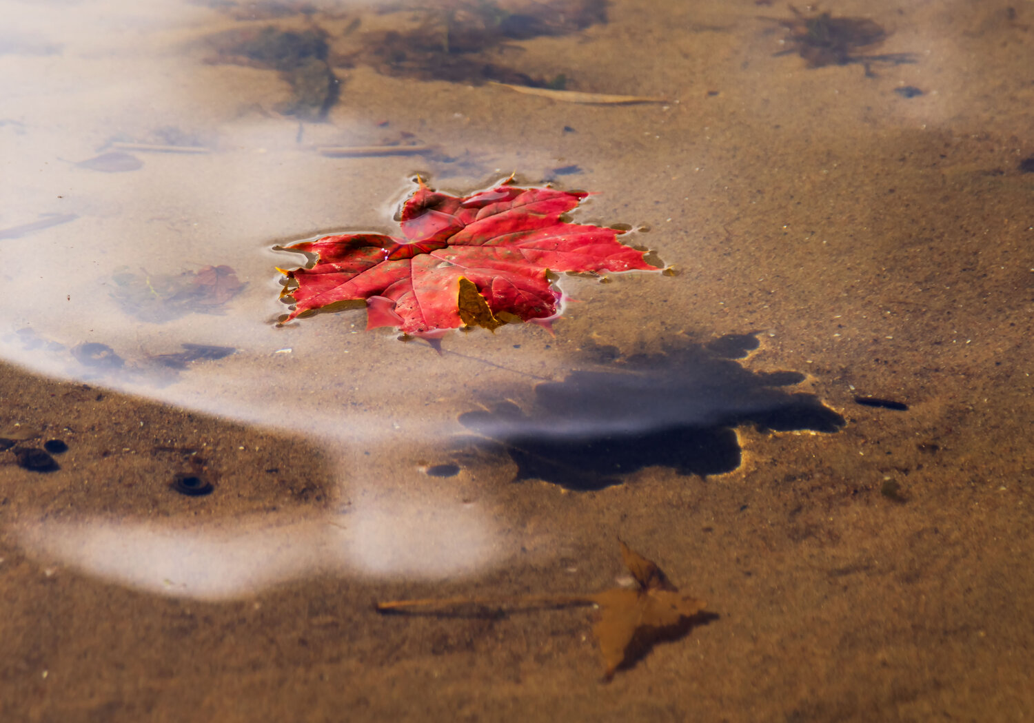Photo #14140451