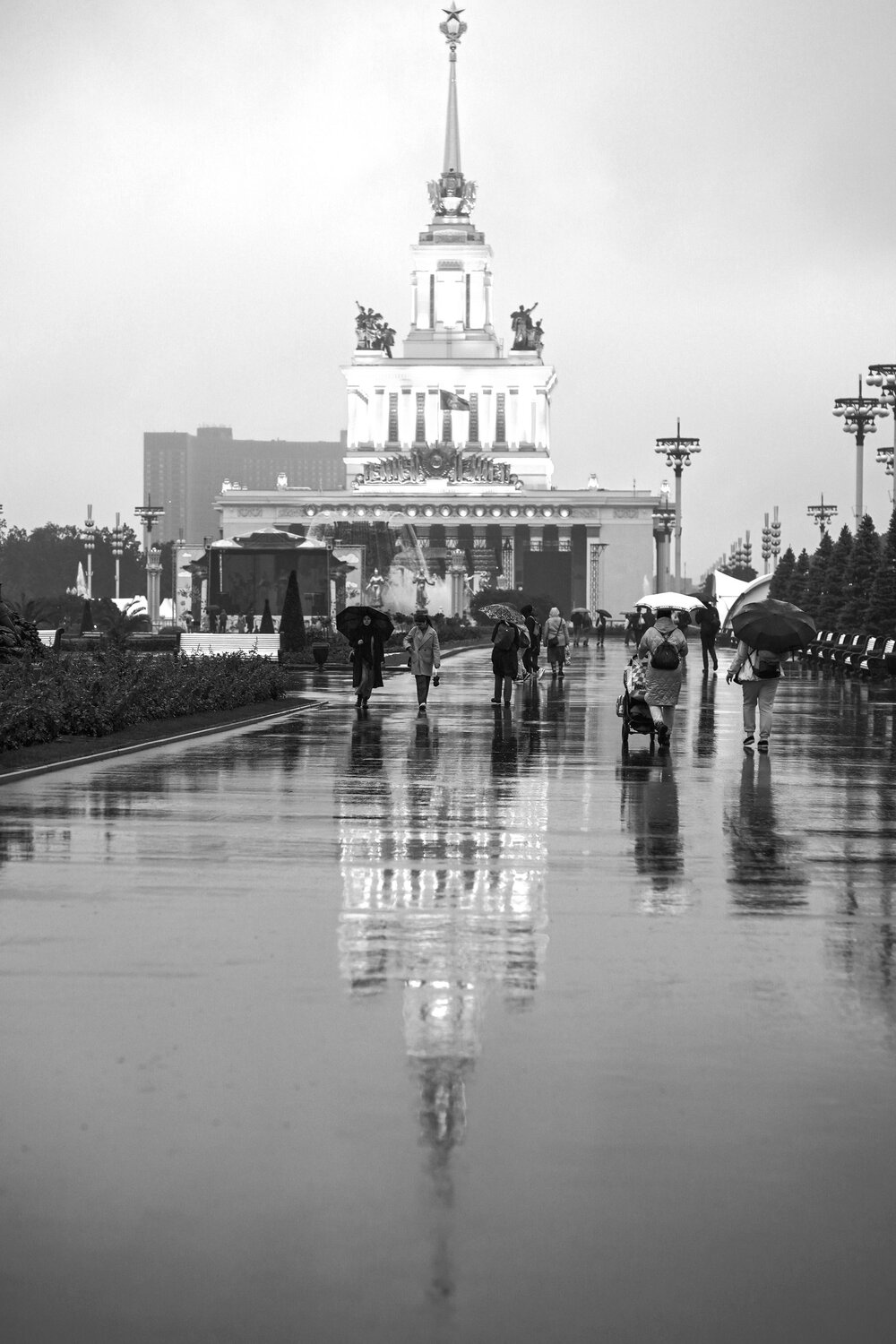 Photo #14140506