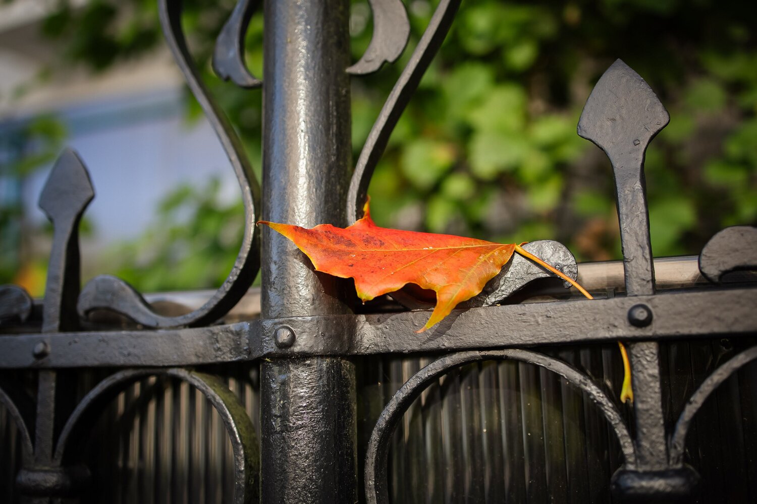 Photo #14140533
