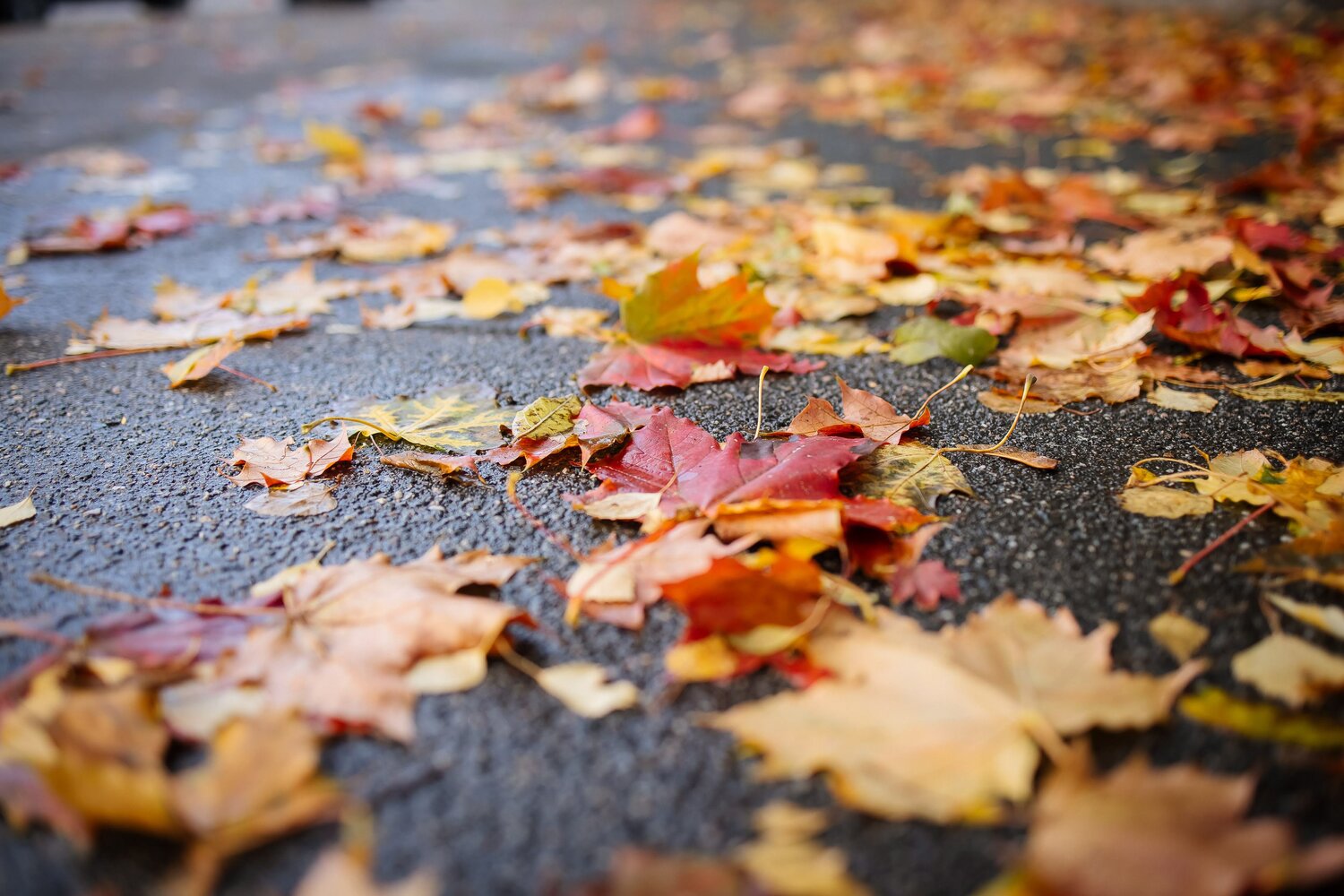 Photo #14140537