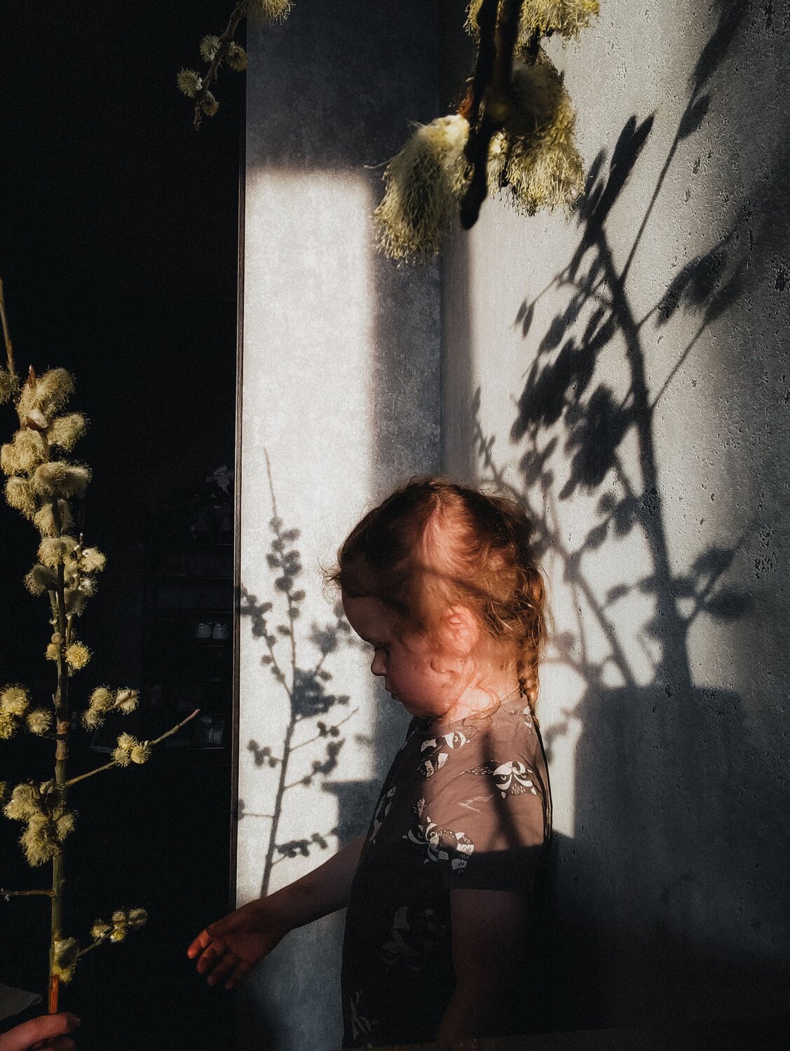 Фотография #14140550