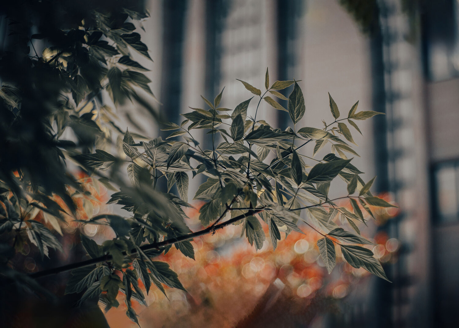 Photo #14140568