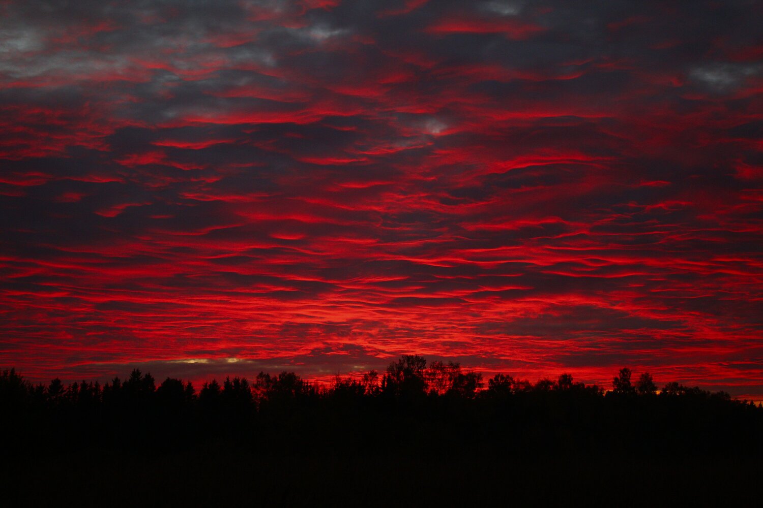 Photo #14140569