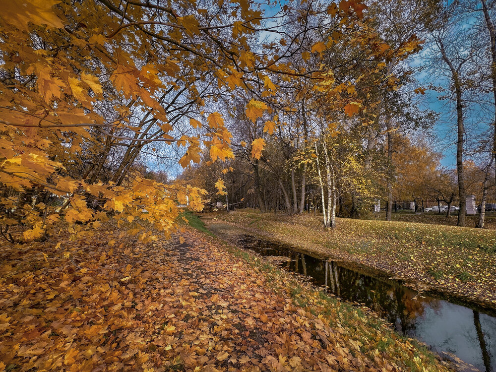 Фотография автора Алена Полетаева