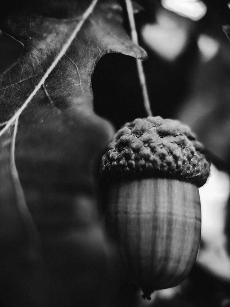 Photograph by Алиса Исаева