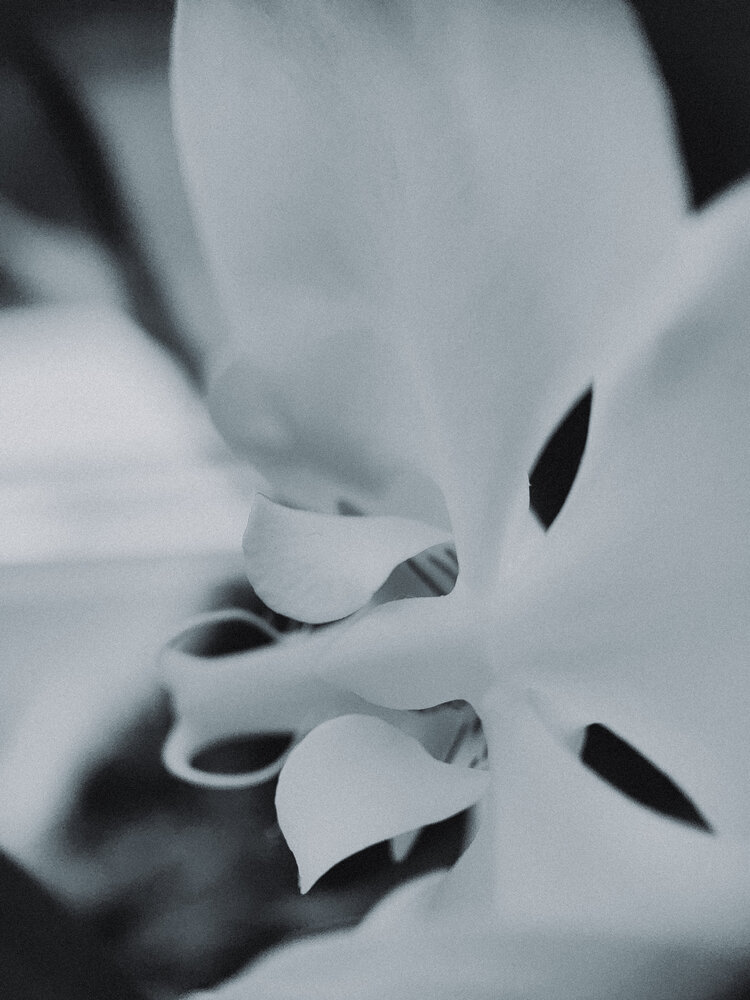 Photograph by Алиса Исаева
