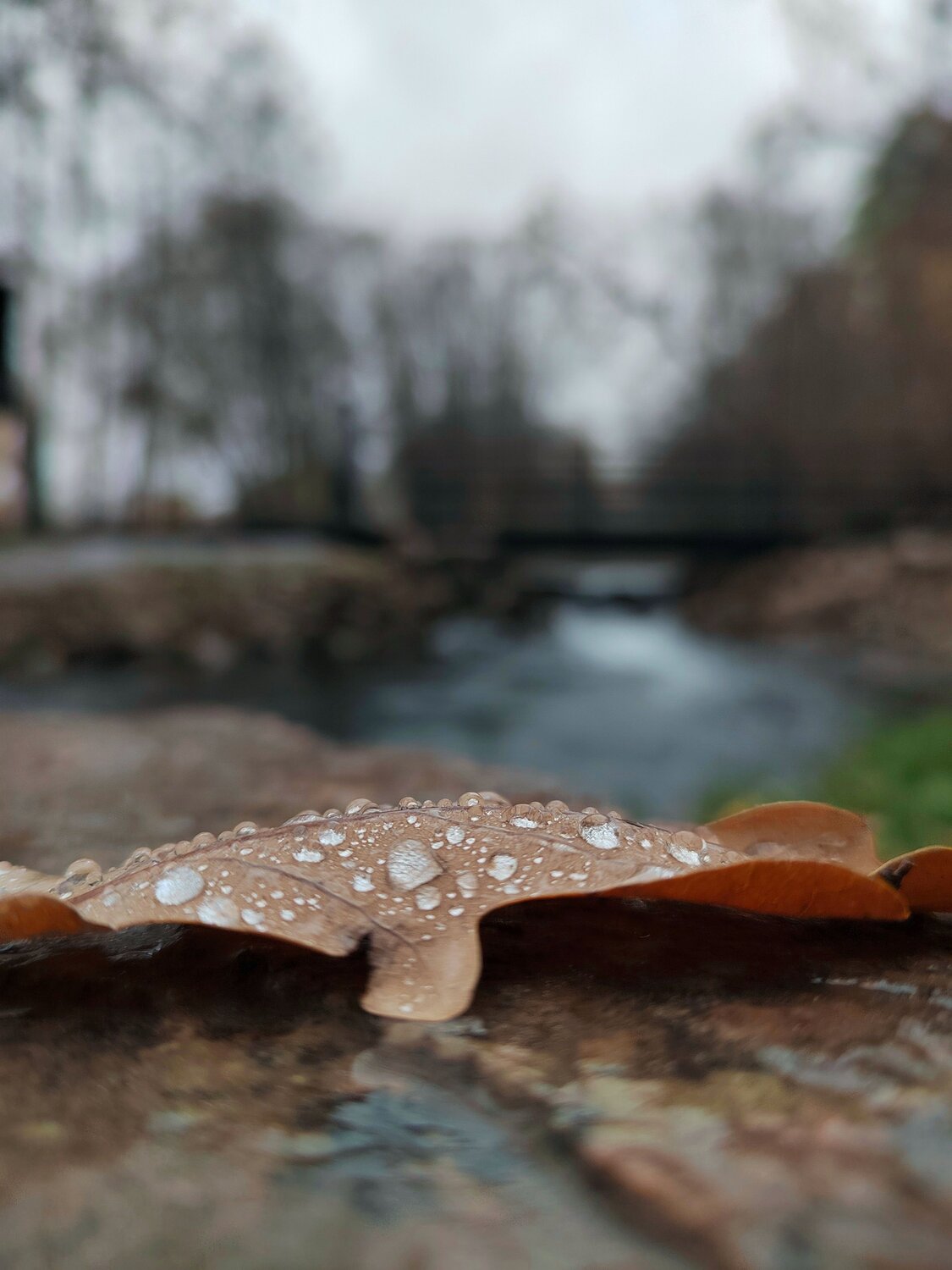 Photo #14140740
