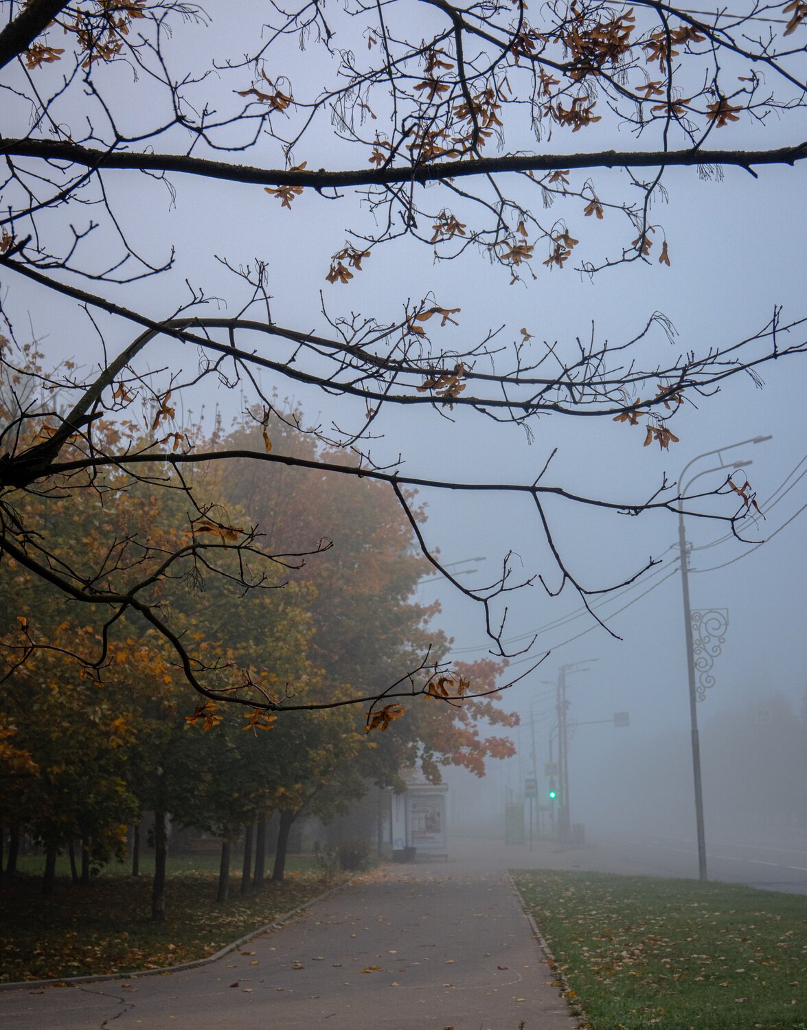 Photo #14140840