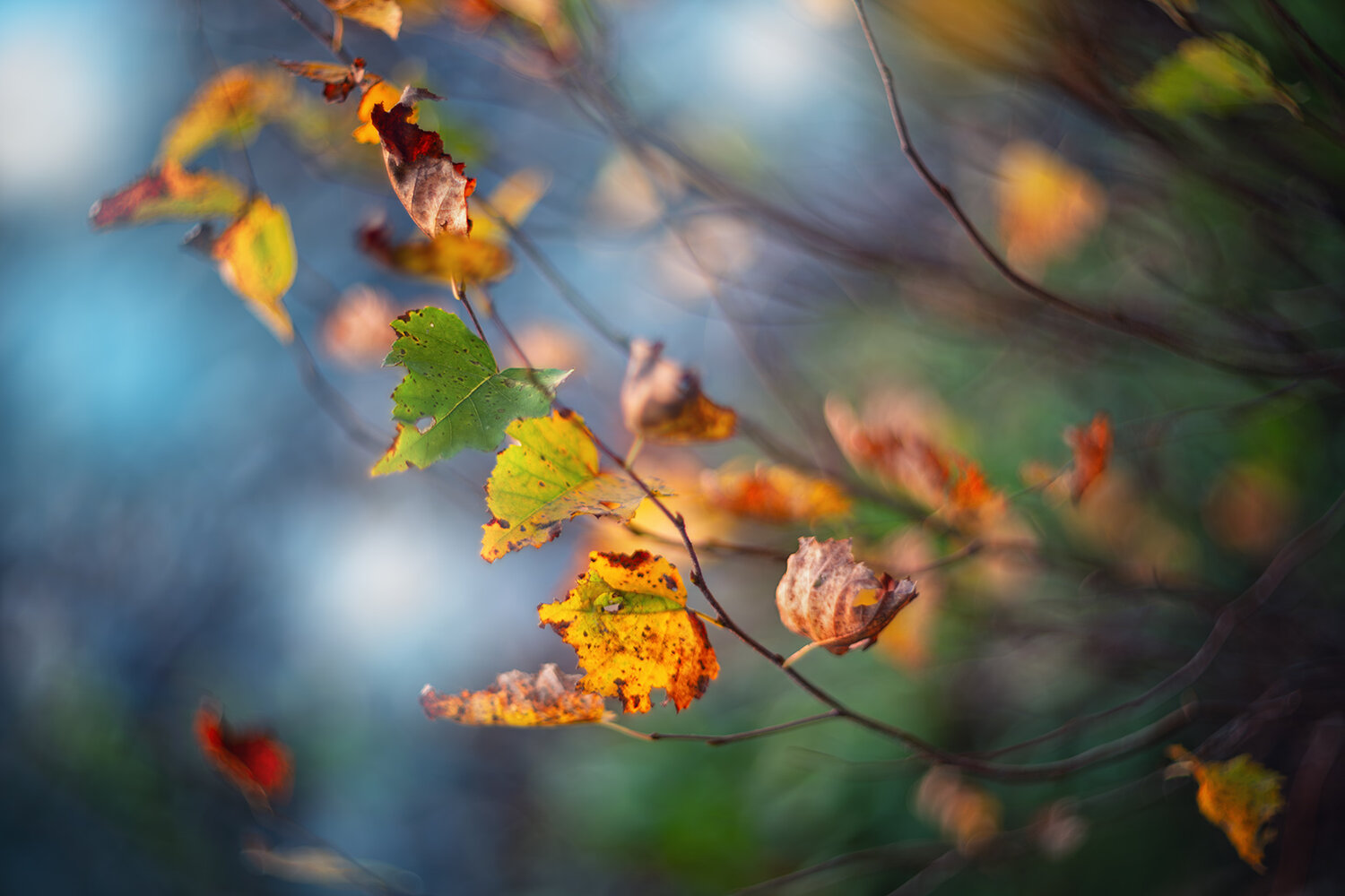 Photo #14140861