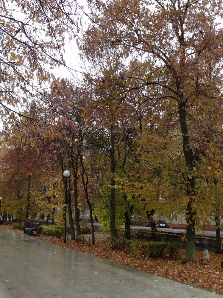 Photo #14140869