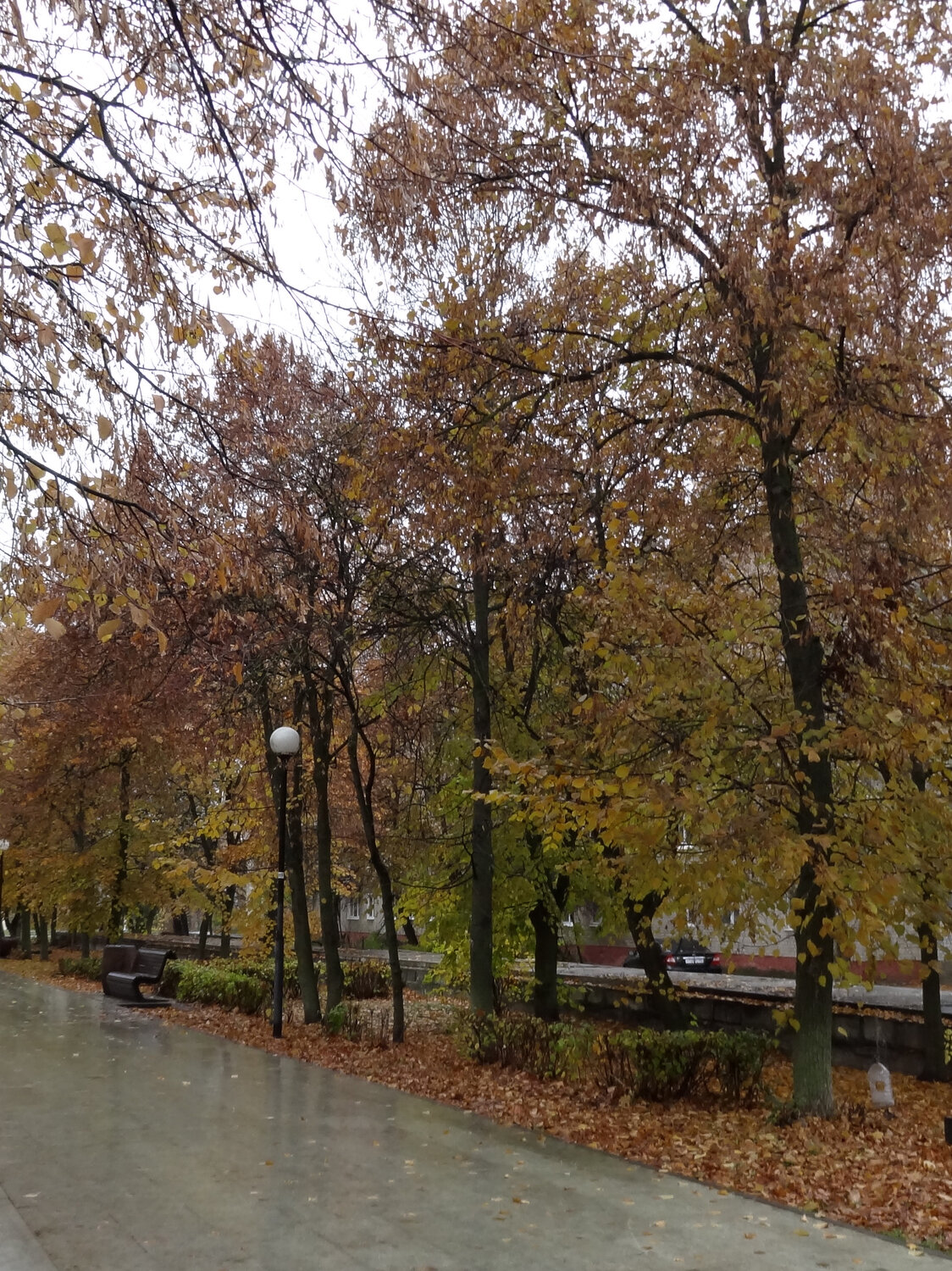 Photo #14140869