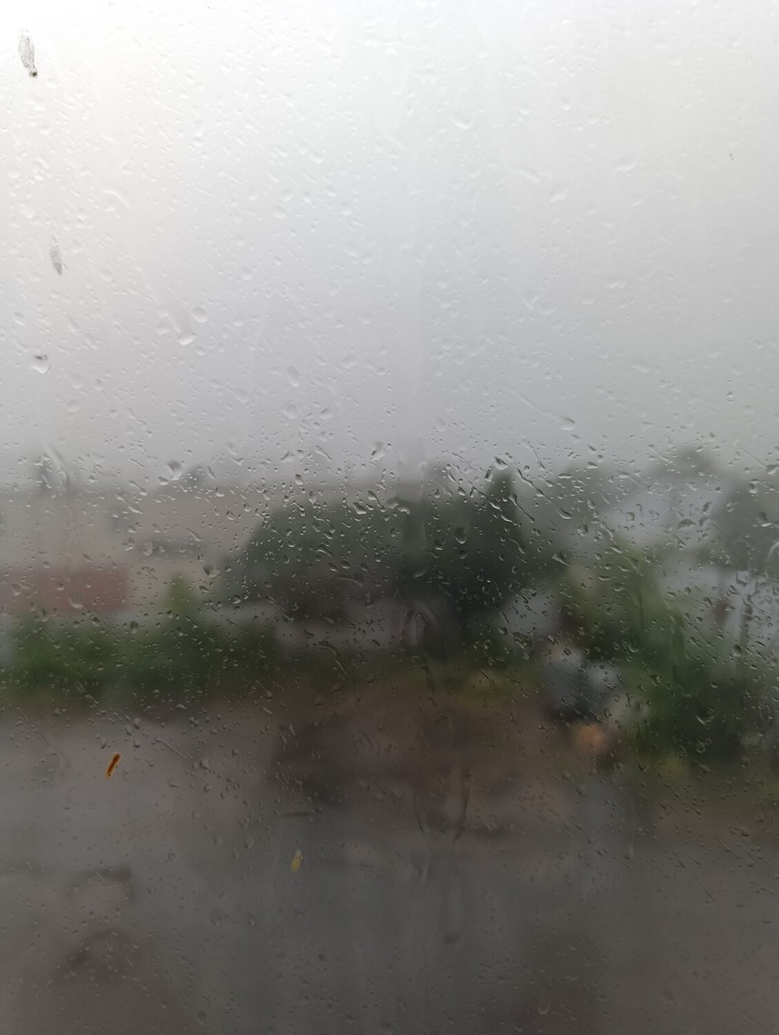 Photo #14140896