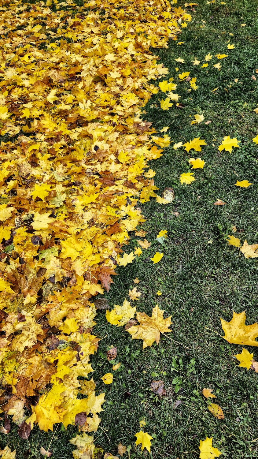 Photo #14141347