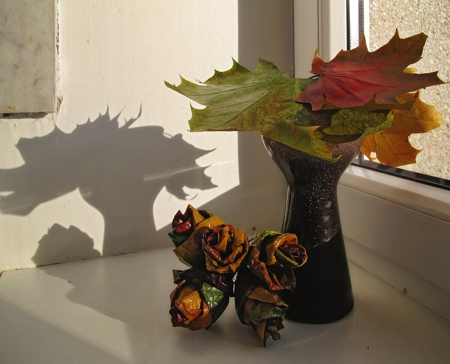 Photo #14141554