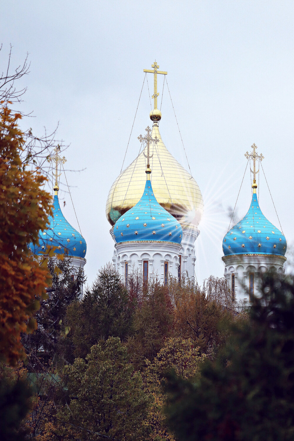 Photo #14141562