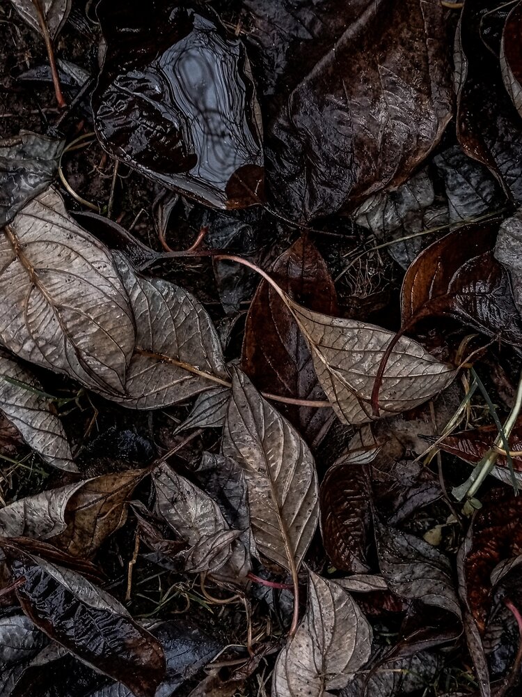 Photograph by Килина Наталья